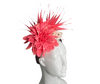 Elegant Floral Fascinator with Vibrant Feathers