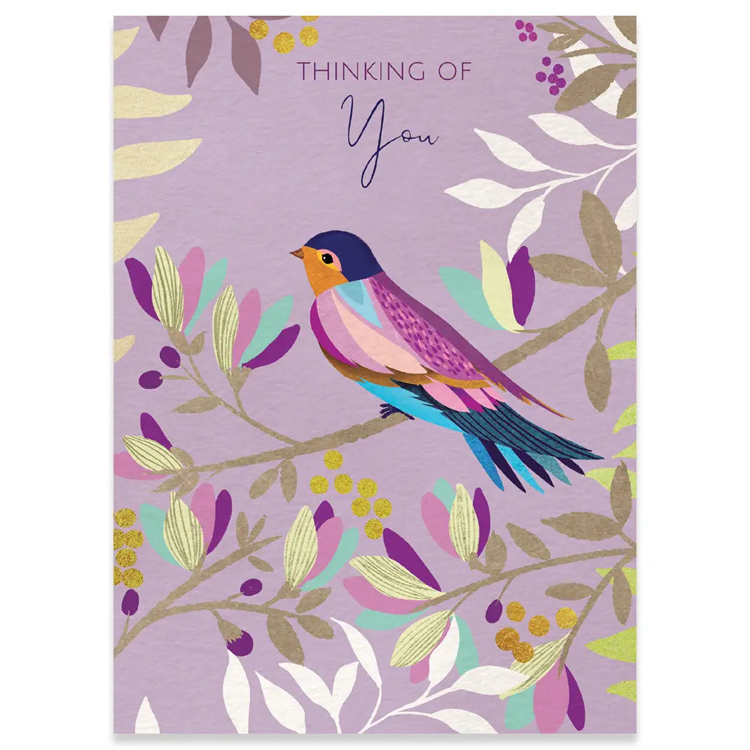 Colorful Bird Carte Get Well Greeting Card