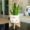 Artificial Snake Plant in Floral Ceramic on Wood Stand - Pink Julep Boutique