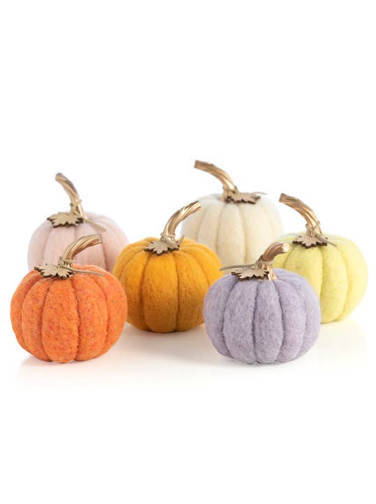 New Harvest Pumpkins In 6 Assorted Colors