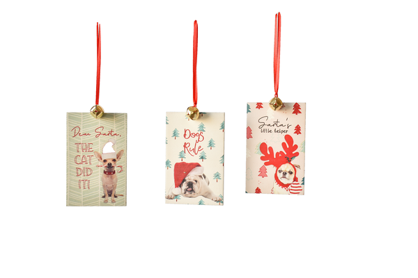 Dog Tag Ornament In Assorted 3 Styles