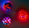 Bubble Pop Light Up Bouncing Popper Ball - Assorted Colors